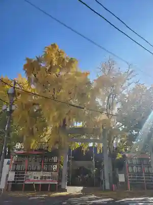 波除神社（波除稲荷神社）(東京都)