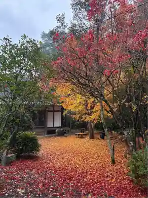 金剛定寺(滋賀県)