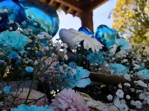 豊景神社の手水舎