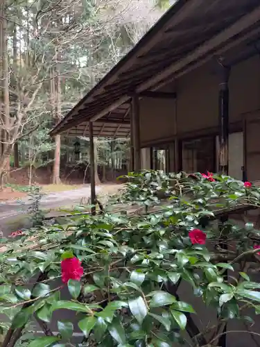 椿大神社(三重県)