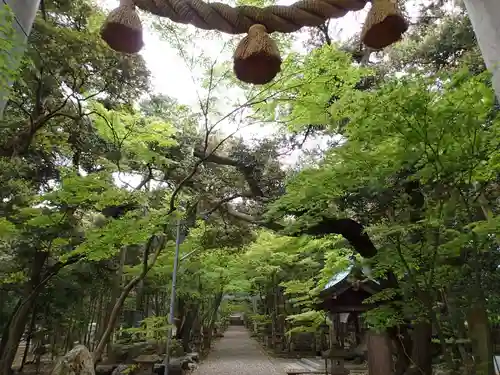気多御子神社の自然