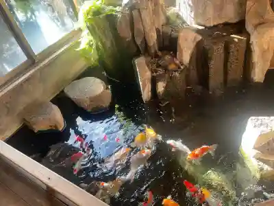 深大寺の{uncategorized: "未分類", other: "その他", undefined: "問題あり", building: "その他建物", grave: "お墓", sacred_gate: "鳥居", guardian: "狛犬", statue: "像", buddha: "仏像", history: "歴史", nature: "自然", garden: "庭園", animal: "動物", pagoda: "塔", temizu: "手水舎", mountain_gate: "山門・神門", sanctuary: "本殿・本堂", subordinate: "末社・摂社", art: "芸術", scenery: "景色", jizo: "地蔵", ema: "絵馬", goshuin: "御朱印", omikuji: "おみくじ", items: "授与品その他", amulet: "お守り", goshuincho: "御朱印帳", eats: "食事", festival: "お祭り", votive_dance: "神楽", shichigosan: "七五三参", wedding: "結婚式", experience: "体験その他", initially: "初詣", around: "周辺", anti_infection: "感染症対策"}