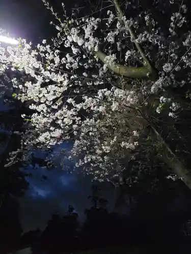 天宮神社の自然