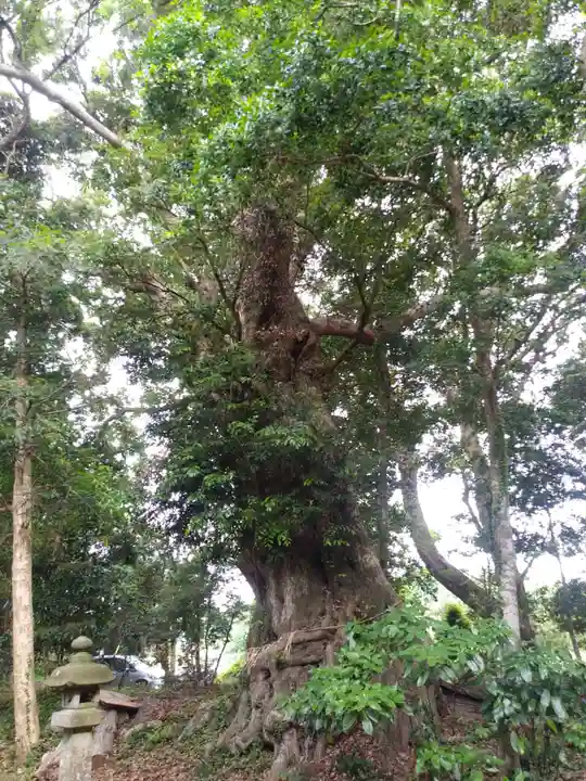 鉾山神社の自然