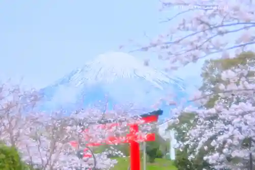 富士山本宮浅間大社(静岡県)
