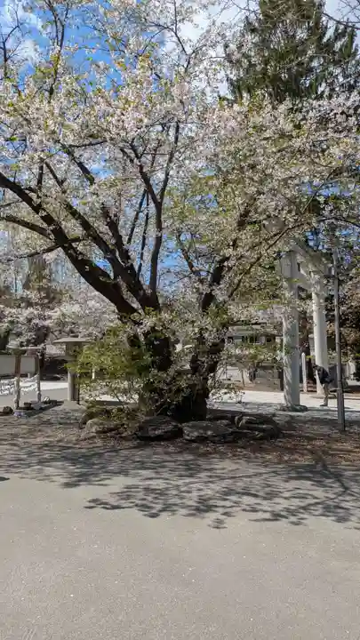住吉神社(北海道)