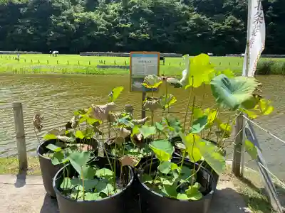 永福寺跡（永福寺址）(神奈川県)