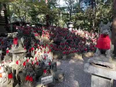 豊川閣　妙厳寺の狛犬