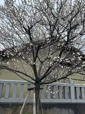 廣田神社(富山県)