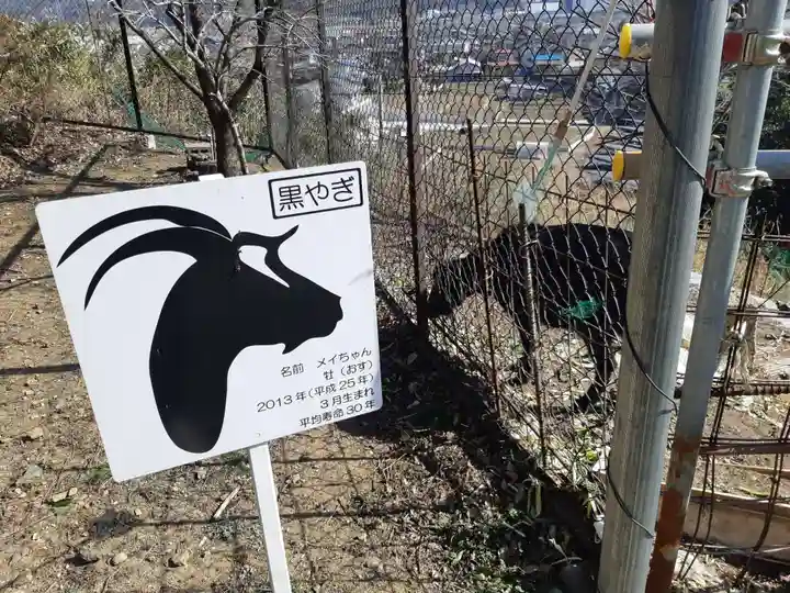 加茂別雷神社の動物