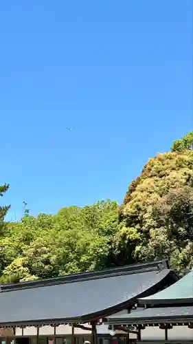 橿原神宮(奈良県)