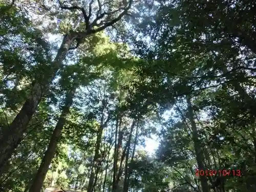 伊勢神宮内宮（皇大神宮）の自然