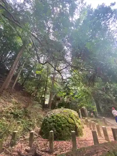 天石門別神社の自然