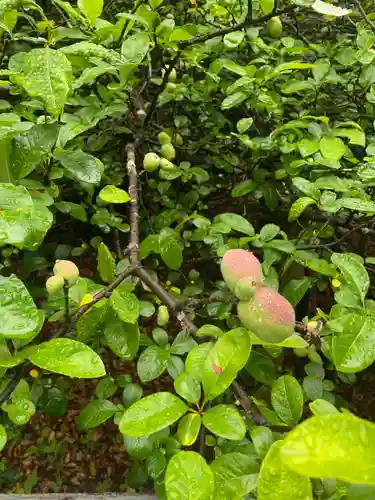 冠稲荷神社(群馬県)