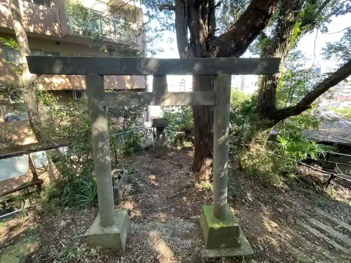 武州白子熊野神社の鳥居
