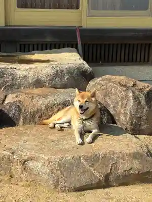 潮音寺(兵庫県)