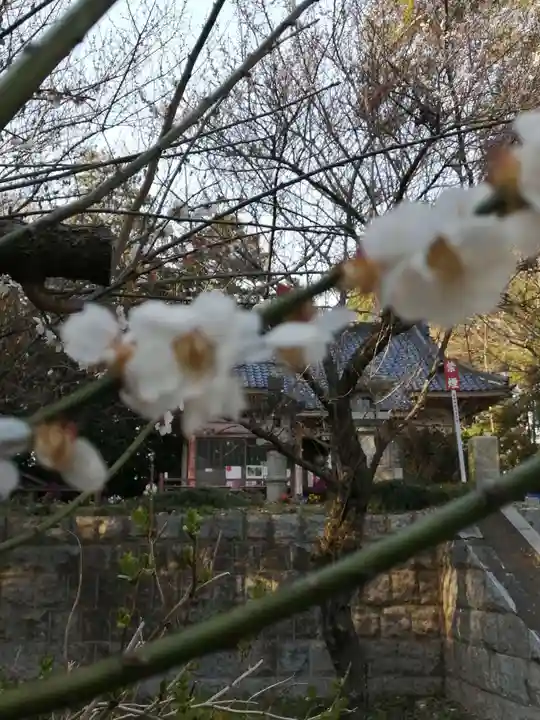 千代ケ岡八幡宮のその他建物