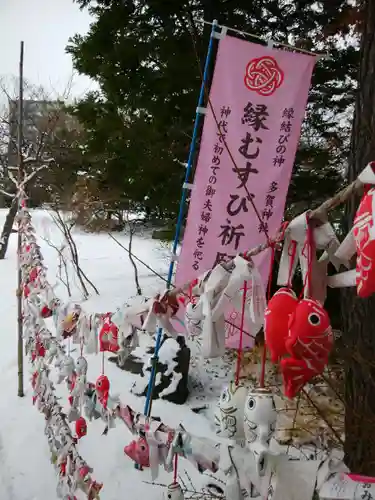 多賀神社のおみくじ