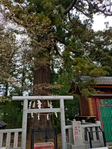 大杉神社の{uncategorized: "未分類", other: "その他", undefined: "問題あり", building: "その他建物", grave: "お墓", sacred_gate: "鳥居", guardian: "狛犬", statue: "像", buddha: "仏像", history: "歴史", nature: "自然", garden: "庭園", animal: "動物", pagoda: "塔", temizu: "手水舎", mountain_gate: "山門・神門", sanctuary: "本殿・本堂", subordinate: "末社・摂社", art: "芸術", scenery: "景色", jizo: "地蔵", ema: "絵馬", goshuin: "御朱印", omikuji: "おみくじ", items: "授与品その他", amulet: "お守り", goshuincho: "御朱印帳", eats: "食事", festival: "お祭り", votive_dance: "神楽", shichigosan: "七五三参", wedding: "結婚式", experience: "体験その他", initially: "初詣", around: "周辺", anti_infection: "感染症対策"}
