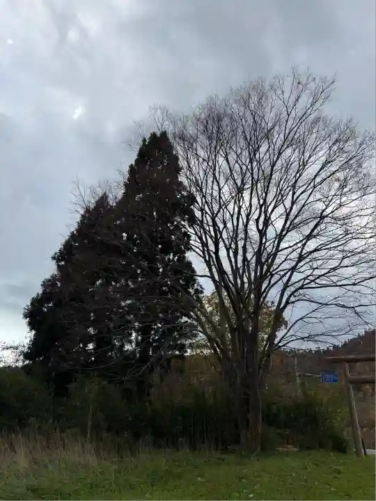 市ノ渡稲荷神社(北海道)