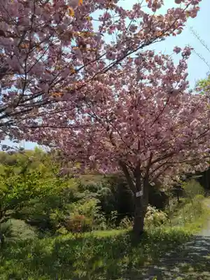 妙立寺(宮城県)