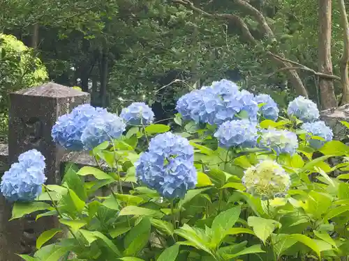 惣河内神社(愛媛県)