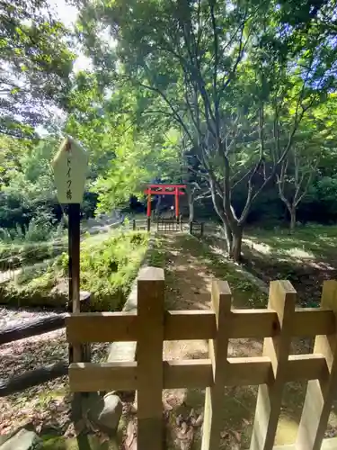 大麻比古神社(徳島県)