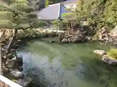 清荒神清澄寺の庭園