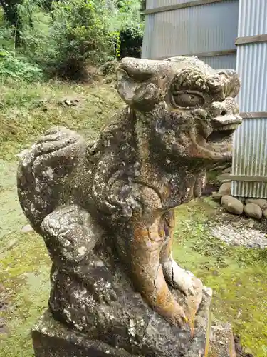 白山神社の狛犬