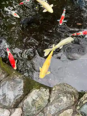 伊勢神宮内宮（皇大神宮）(三重県)