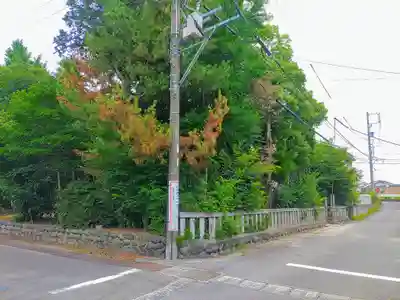 八幡社（東）の自然