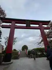 亀戸天神社(東京都)