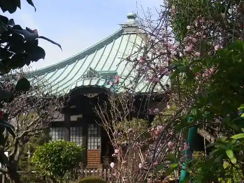 収玄寺の本殿・本堂