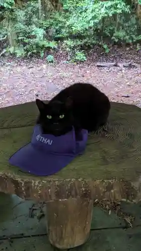 玉野御嶽神社(愛知県)