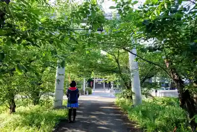 諏訪神社(沓掛諏訪神社)の{uncategorized: "未分類", other: "その他", undefined: "問題あり", building: "その他建物", grave: "お墓", sacred_gate: "鳥居", guardian: "狛犬", statue: "像", buddha: "仏像", history: "歴史", nature: "自然", garden: "庭園", animal: "動物", pagoda: "塔", temizu: "手水舎", mountain_gate: "山門・神門", sanctuary: "本殿・本堂", subordinate: "末社・摂社", art: "芸術", scenery: "景色", jizo: "地蔵", ema: "絵馬", goshuin: "御朱印", omikuji: "おみくじ", items: "授与品その他", amulet: "お守り", goshuincho: "御朱印帳", eats: "食事", festival: "お祭り", votive_dance: "神楽", shichigosan: "七五三参", wedding: "結婚式", experience: "体験その他", initially: "初詣", around: "周辺", anti_infection: "感染症対策"}