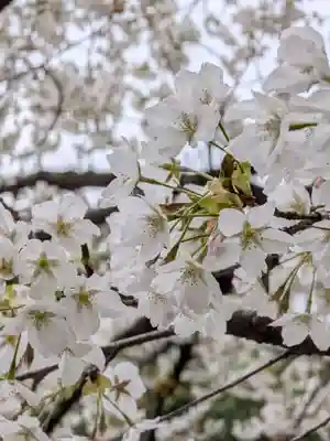 金王八幡宮(東京都)
