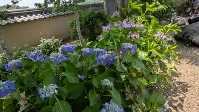 飛鳥寺(奈良県)