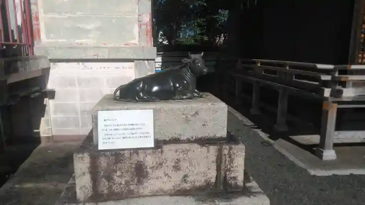 八幡古表神社の狛犬