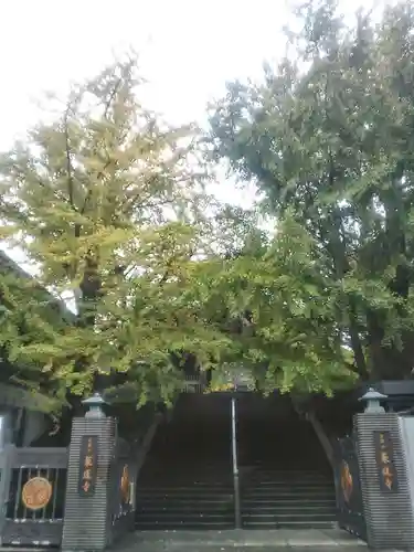 乗蓮寺のその他建物