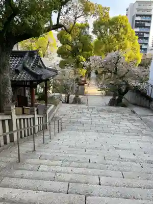 高津宮(大阪府)