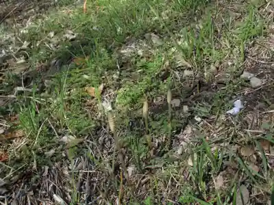 神明神社(千葉県)
