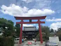 梅宮大社の鳥居