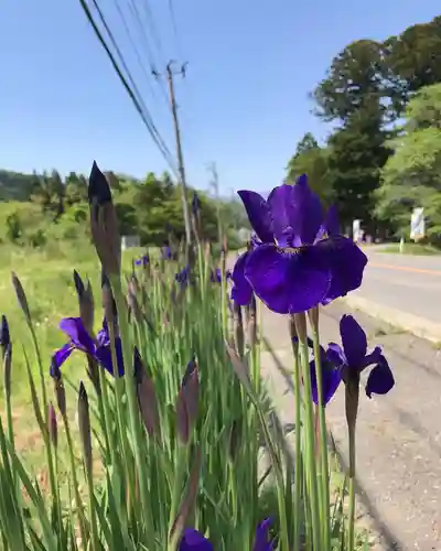 高司神社〜むすびの神の鎮まる社〜(福島県)