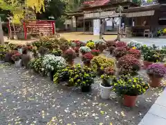 平塚八幡宮(神奈川県)