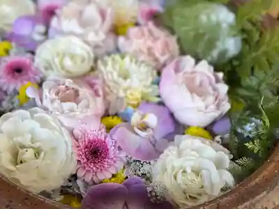 多賀神社の手水舎