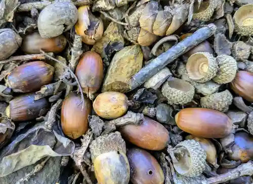 長流内神社(北海道)