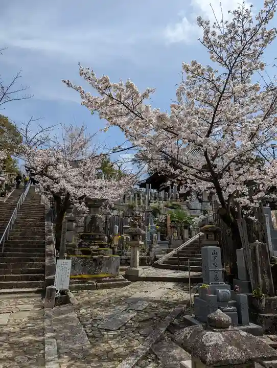 くろ谷 金戒光明寺の自然
