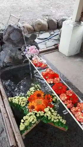 星置神社の手水