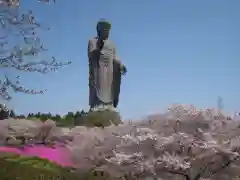 東本願寺本廟 牛久浄苑（牛久大仏）(茨城県)