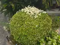 帝釈寺(大阪府)